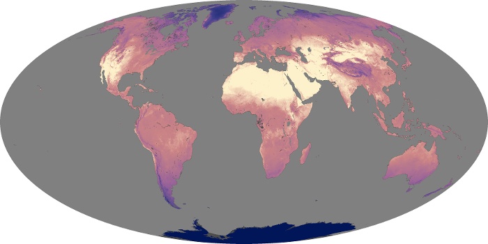 Global Map Land Surface Temperature Image 24