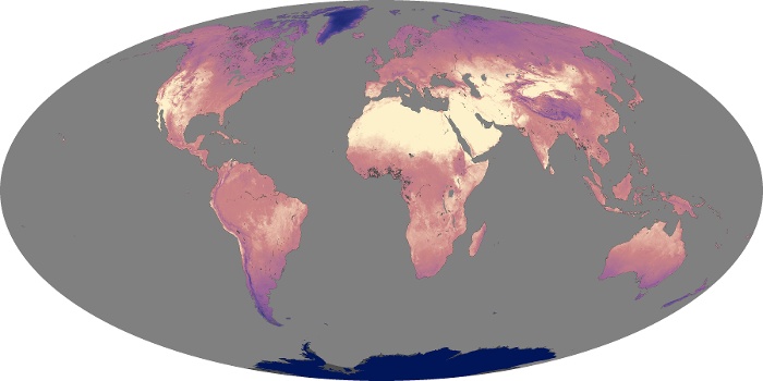 Global Map Land Surface Temperature Image 55
