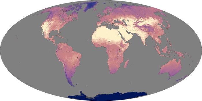 Global Map Land Surface Temperature Image 60