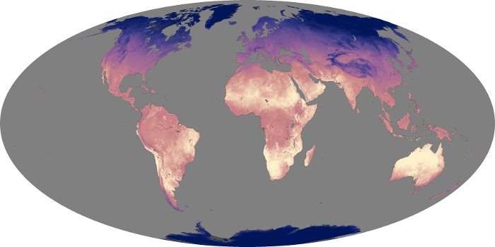 Global Map Land Surface Temperature Image 77