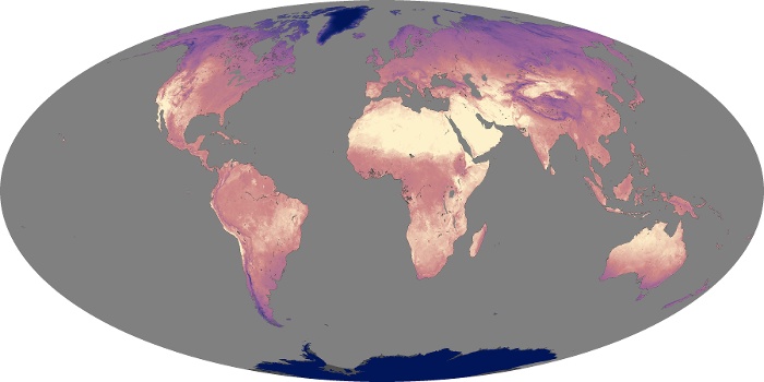 Global Map Land Surface Temperature Image 116