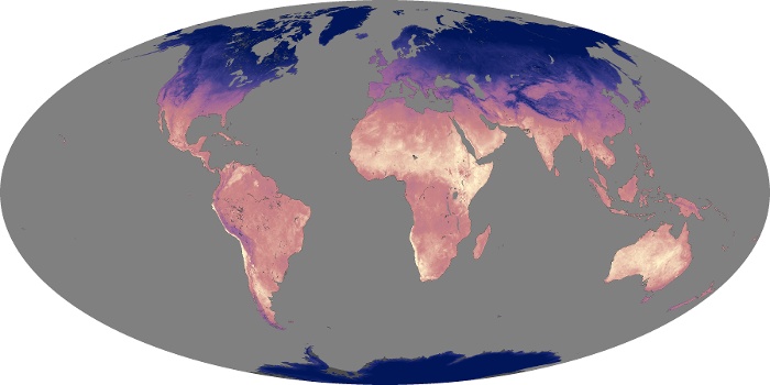 Global Map Land Surface Temperature Image 133