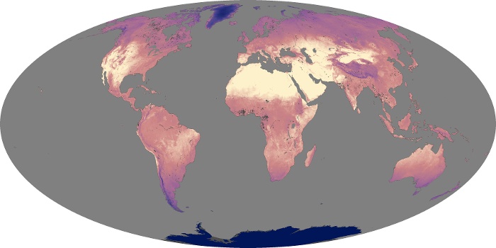 Global Map Land Surface Temperature Image 150