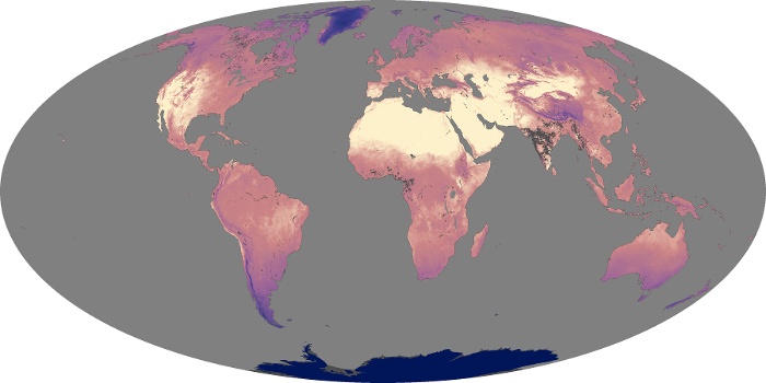 Global Map Land Surface Temperature Image 162