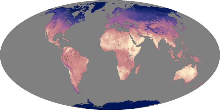 Global Map Land Surface Temperature Image 181