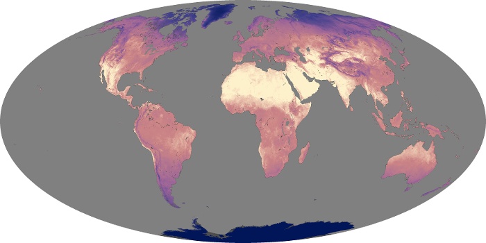 Global Map Land Surface Temperature Image 196