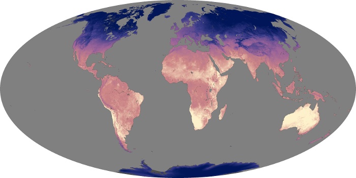 Global Map Land Surface Temperature Image 203