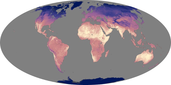 Global Map Land Surface Temperature Image 205