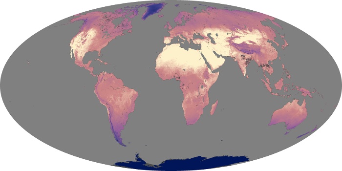 Global Map Land Surface Temperature Image 181