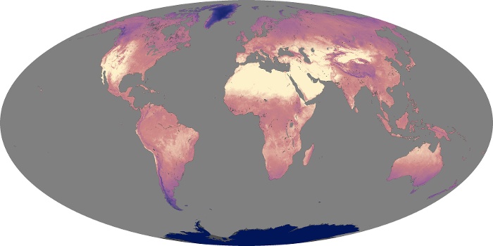 Global Map Land Surface Temperature Image 246