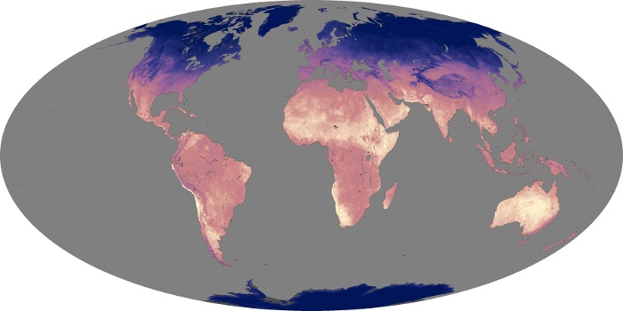 Global Map Land Surface Temperature Image 252