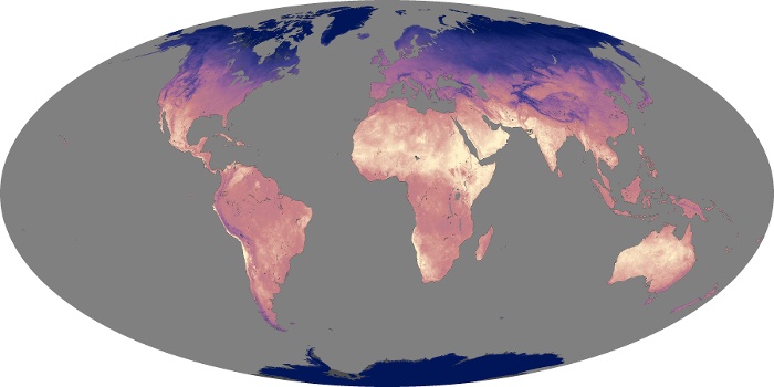 Global Map Land Surface Temperature Image 253