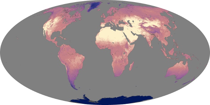 Global Map Land Surface Temperature Image 258
