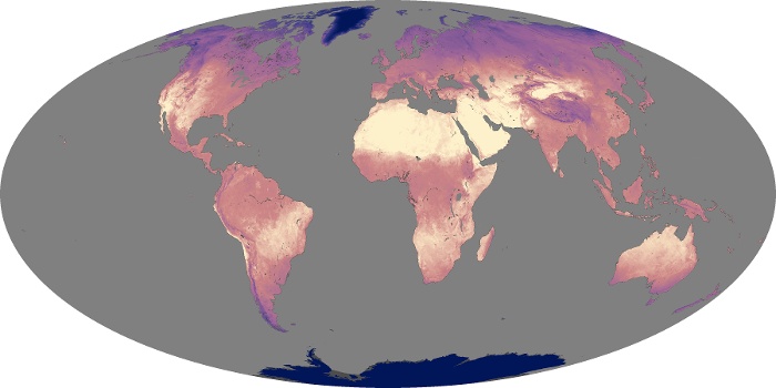 Global Map Land Surface Temperature Image 259