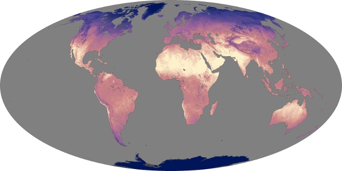 Global Map Land Surface Temperature Image 238