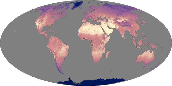 Global Map Land Surface Temperature Image 296