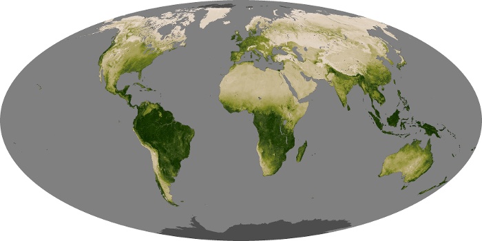 Global Map Vegetation Image 1