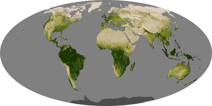 World Map Of Vegetation Vegetation