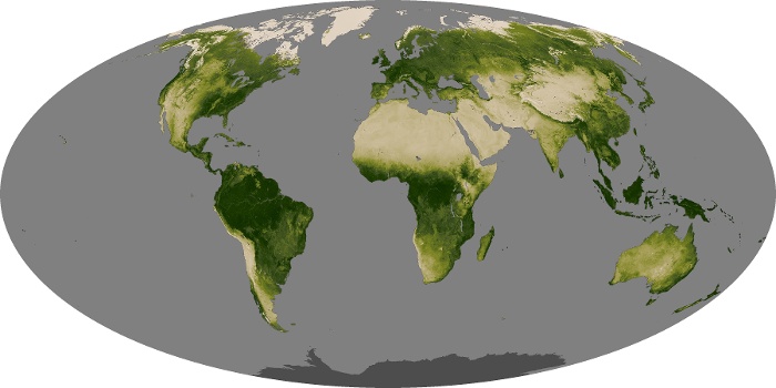 Global Map Vegetation Image 3