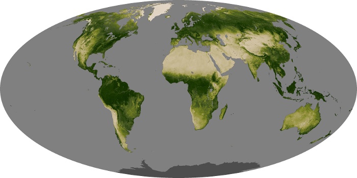 Global Map Vegetation Image 4