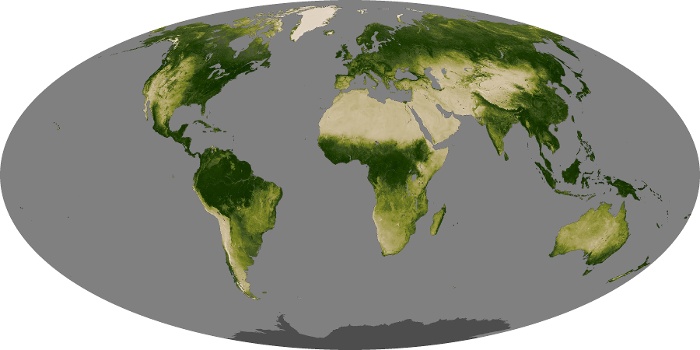 Global Map Vegetation Image 3