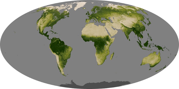 Global Map Vegetation Image 8