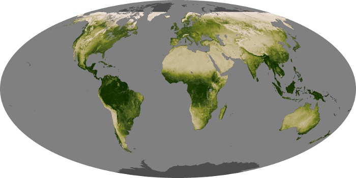 Global Map Vegetation Image 9