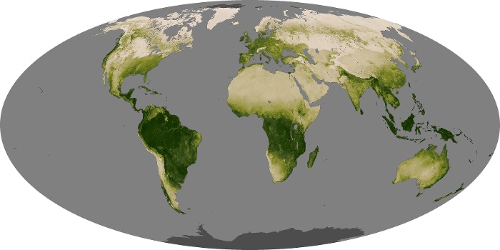 Global Map Vegetation Image 13