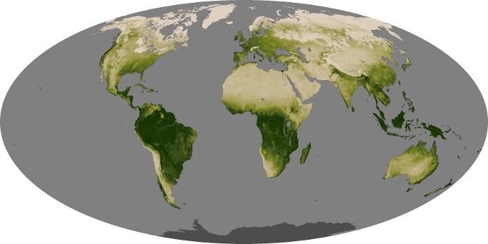 Global Map Vegetation Image 10