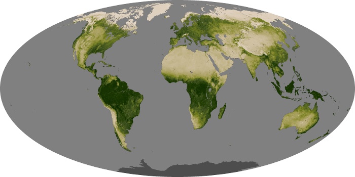 Global Map Vegetation Image 14