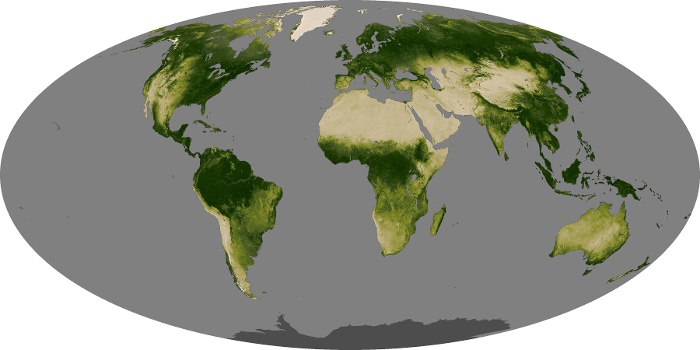 Global Map Vegetation Image 17