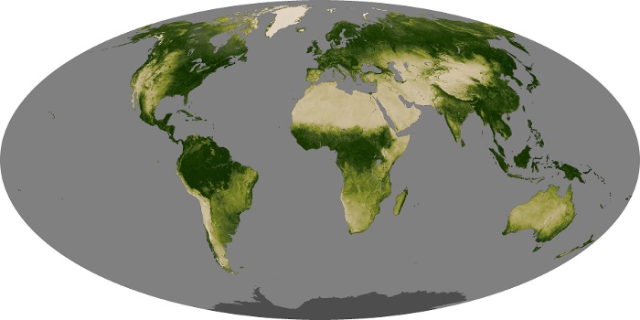 Global Map Vegetation Image 19
