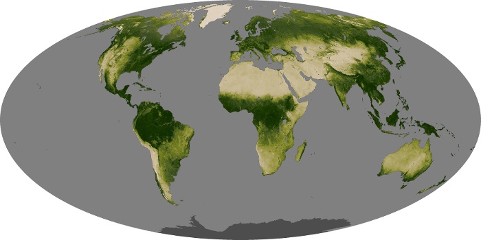 Global Map Vegetation Image 19