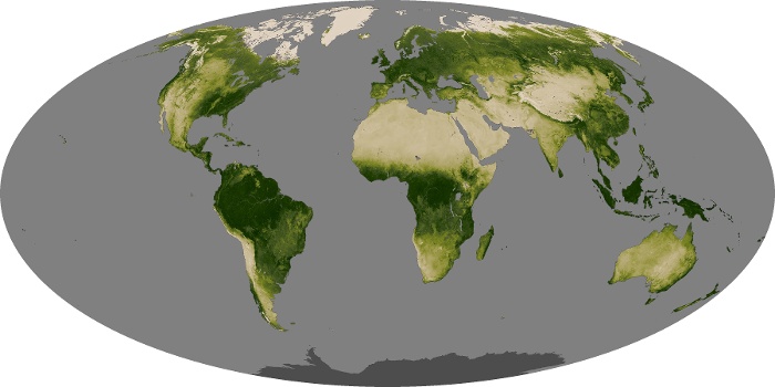 Global Map Vegetation Image 27