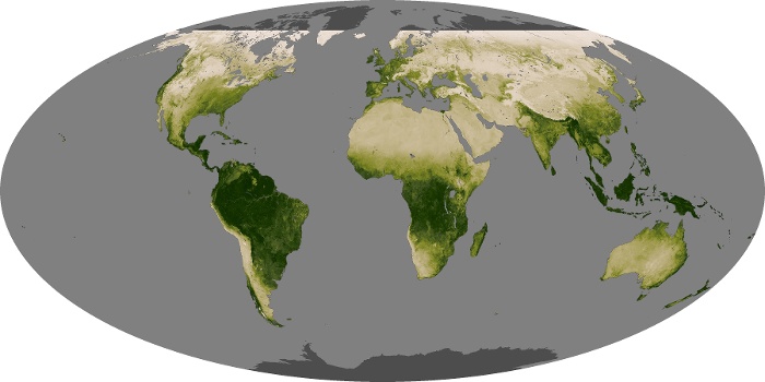 Global Map Vegetation Image 47