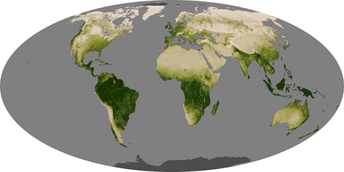 Global Map Vegetation Image 45