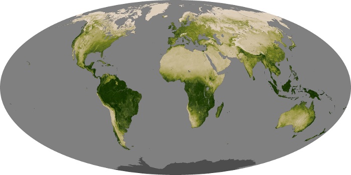 Global Map Vegetation Image 49