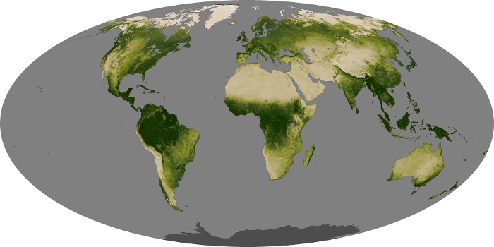 Global Map Vegetation Image 57