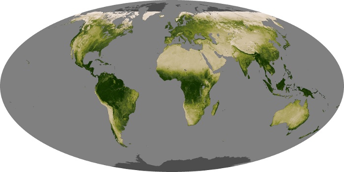 Global Map Vegetation Image 54