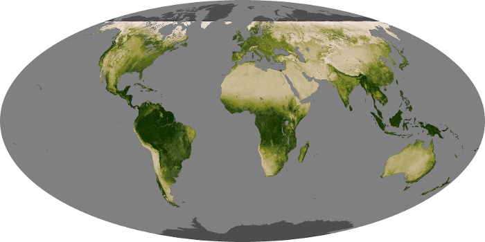 Global Map Vegetation Image 58