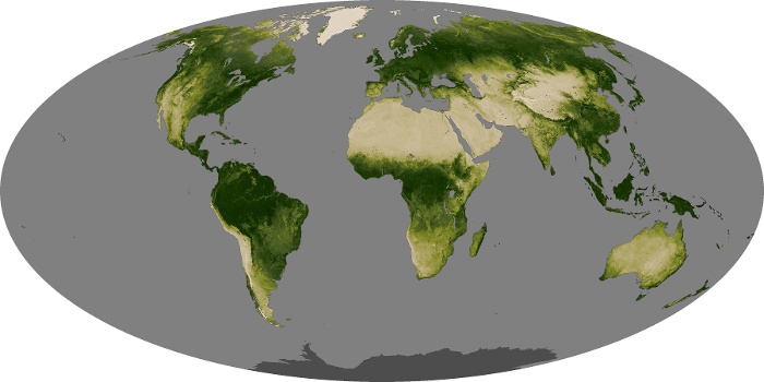 Global Map Vegetation Image 6