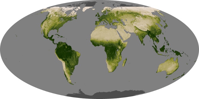 Global Map Vegetation Image 5