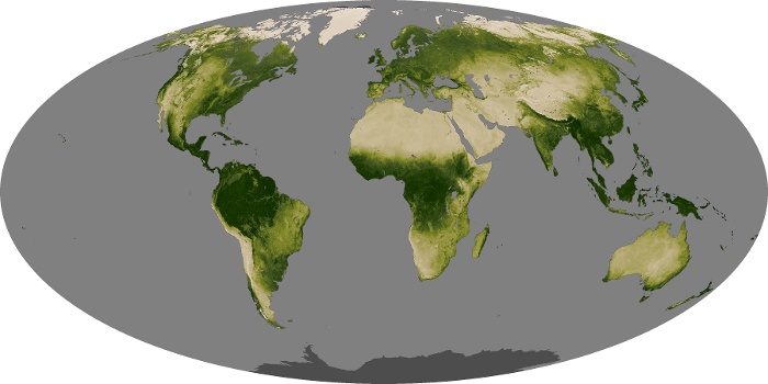 Global Map Vegetation Image 16