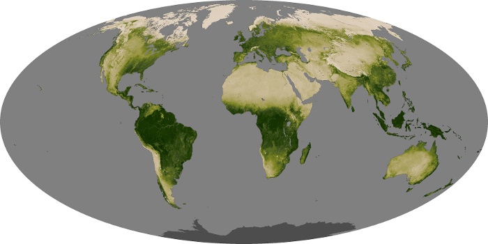 Global Map Vegetation Image 70