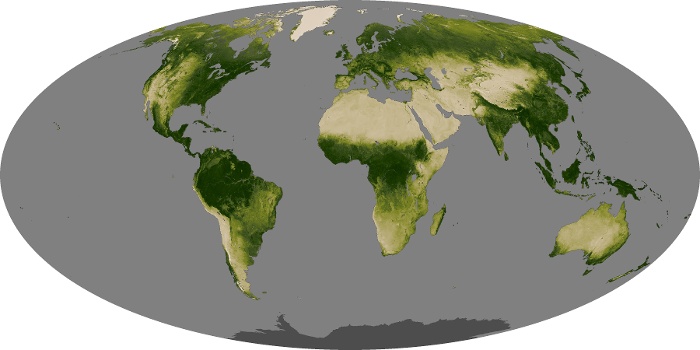 Global Map Vegetation Image 115