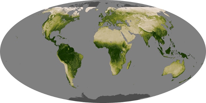 Global Map Vegetation Image 90