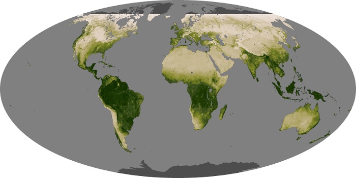 Global Map Vegetation Image 43