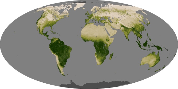 Global Map Vegetation Image 120