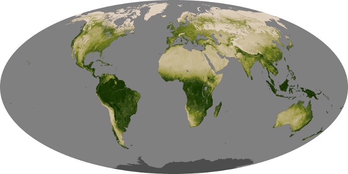 Global Map Vegetation Image 121