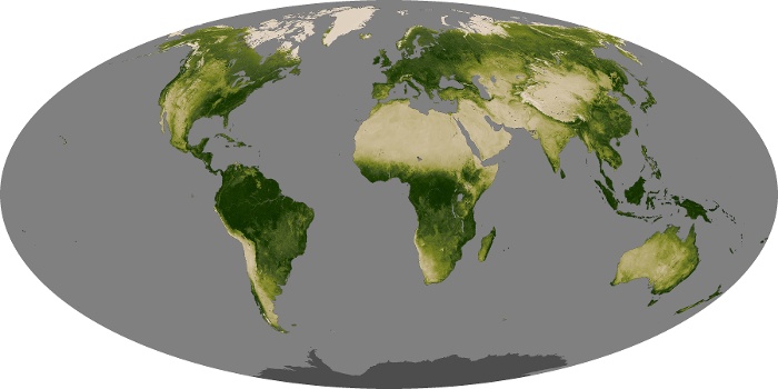 Global Map Vegetation Image 124